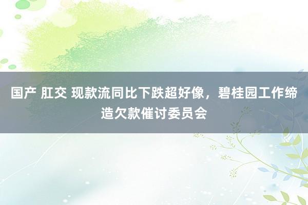 国产 肛交 现款流同比下跌超好像，碧桂园工作缔造欠款催讨委员会