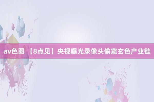 av色图 【8点见】央视曝光录像头偷窥玄色产业链