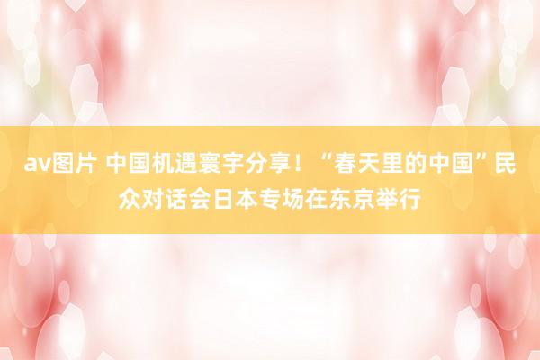 av图片 中国机遇寰宇分享！“春天里的中国”民众对话会日本专场在东京举行