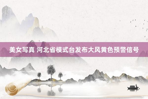 美女写真 河北省模式台发布大风黄色预警信号