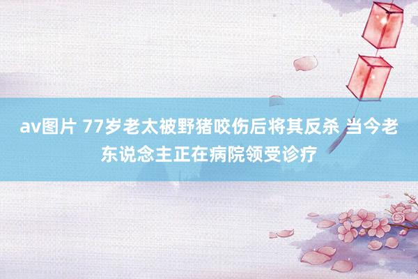 av图片 77岁老太被野猪咬伤后将其反杀 当今老东说念主正在病院领受诊疗