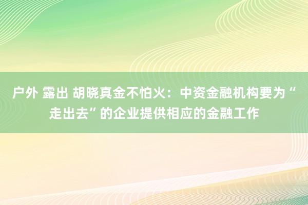 户外 露出 胡晓真金不怕火：中资金融机构要为“走出去”的企业提供相应的金融工作