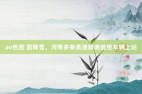 av色图 因降雪，河南多条高速辞谢统统车辆上站