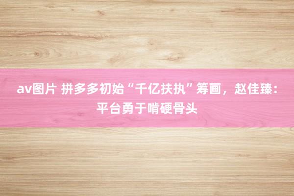av图片 拼多多初始“千亿扶执”筹画，赵佳臻：平台勇于啃硬骨头