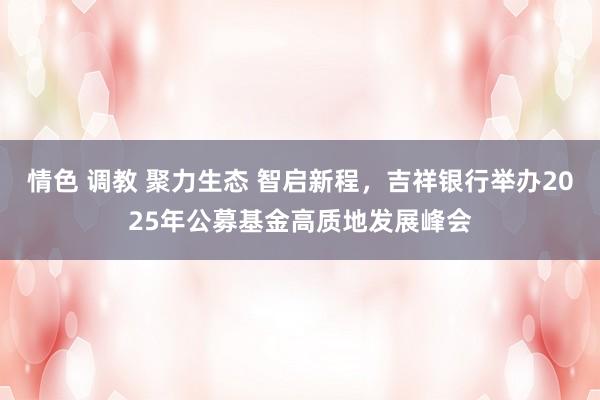 情色 调教 聚力生态 智启新程，吉祥银行举办2025年公募基金高质地发展峰会